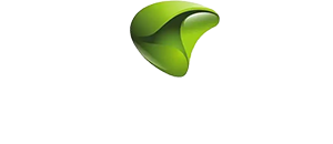 深圳新闻网官方网站设计制作