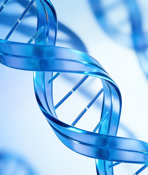 汉腾生物
官方网站设计制作